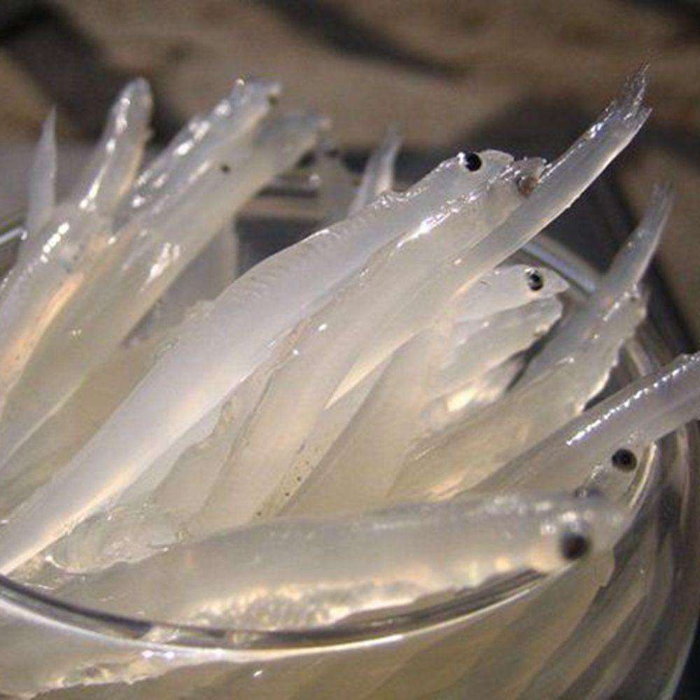 href="/item/长江/388" data-lemmaid="388">长江 /a>生长的四种鱼