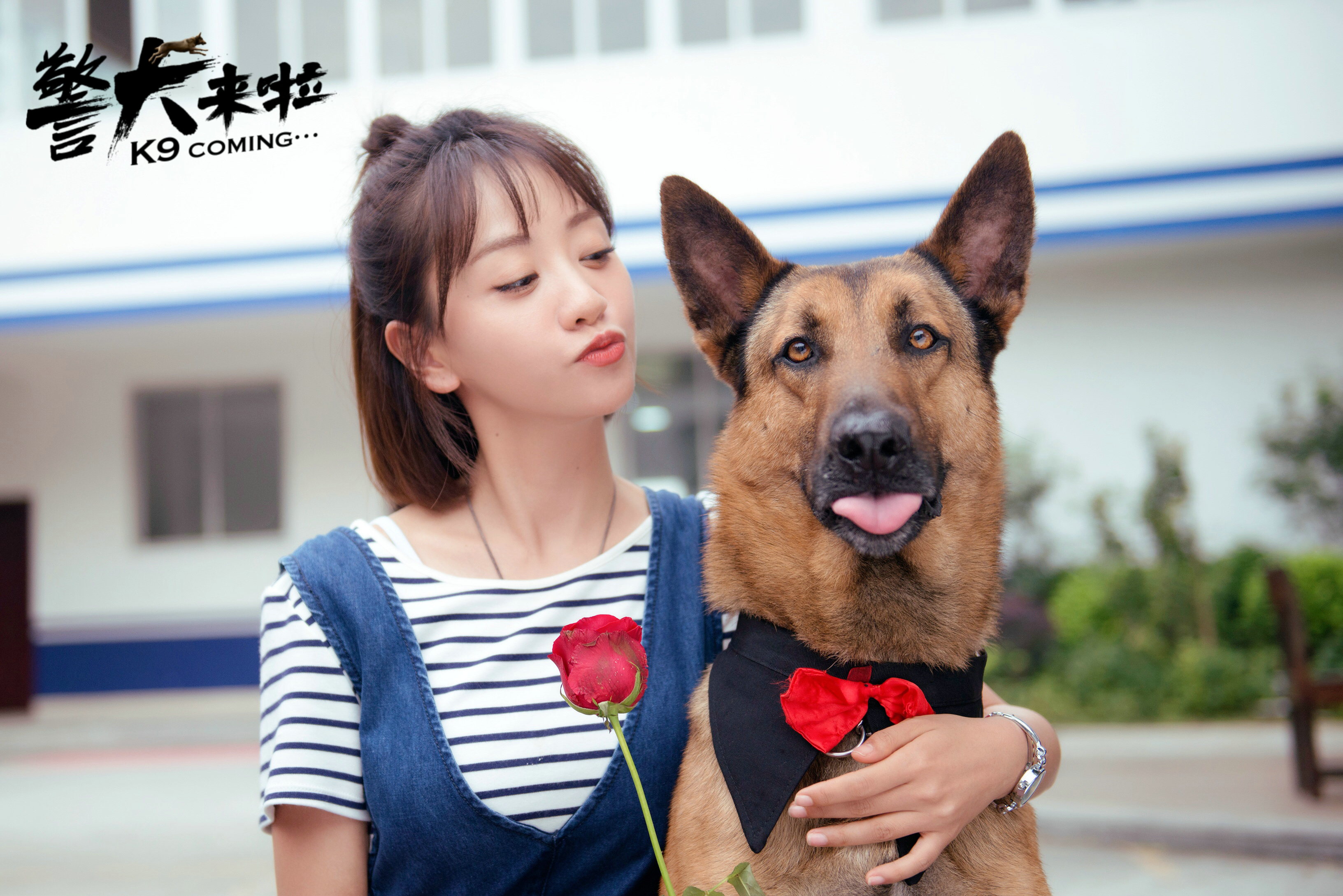 警犬来啦