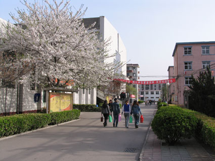  p>长沙工业职工大学(英文名:changsha university of industrial