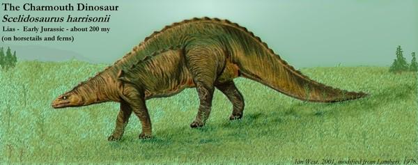 肢龙(scelidosaurus)