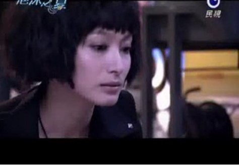 data-lemmaid="10694639">华视的《流星花园》和<a target="