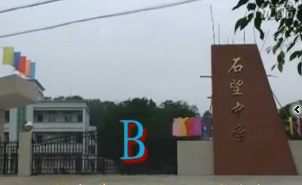  p> a target="_blank" href="/item/阳春市石望中学/8329862" data