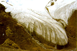 地球表面覆盖有大规模 a target="_blank" href="/item/冰川/118432"