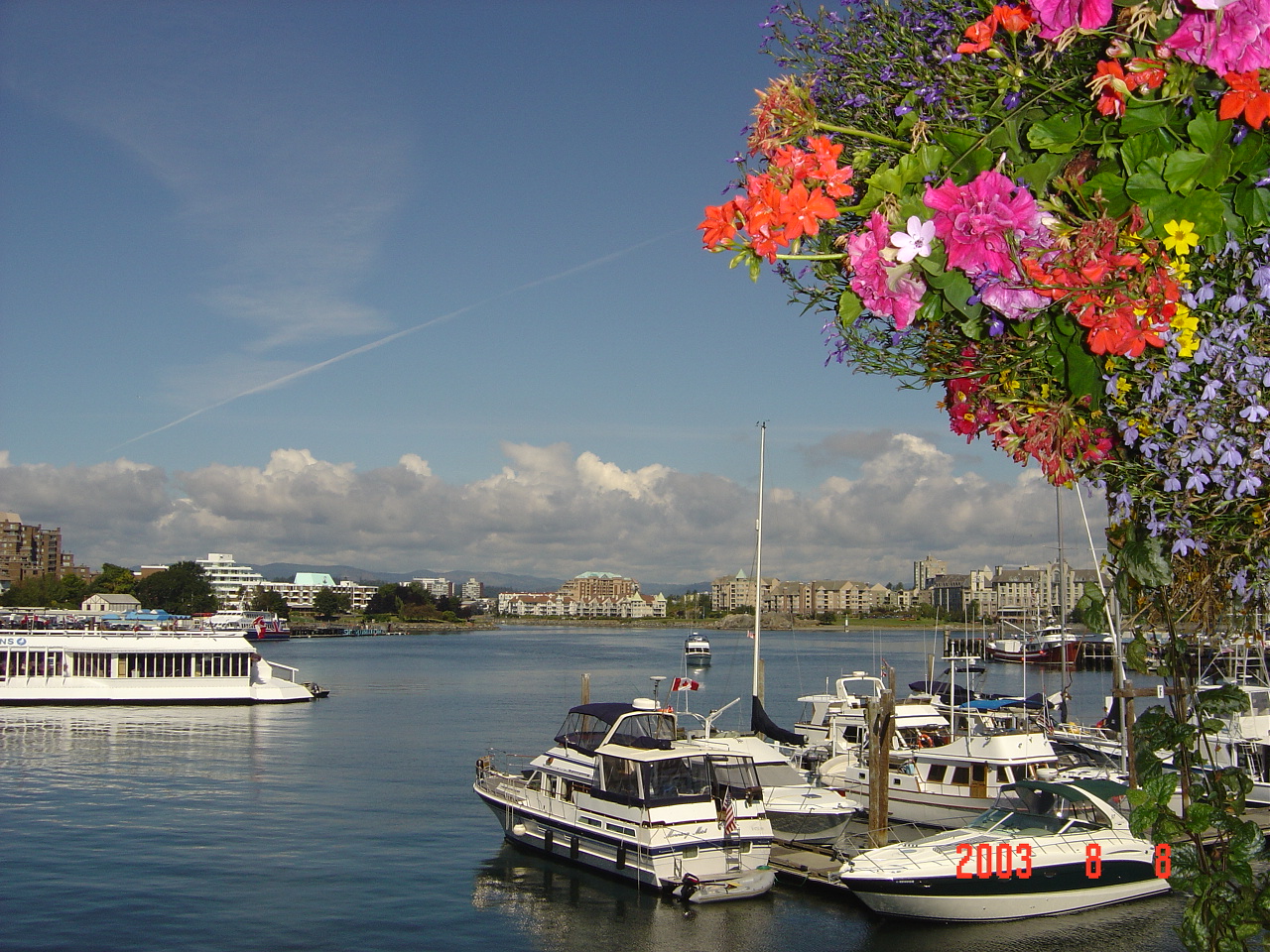 p>维多利亚港(英语:victoria harbour)简称维港,是位于 a target="