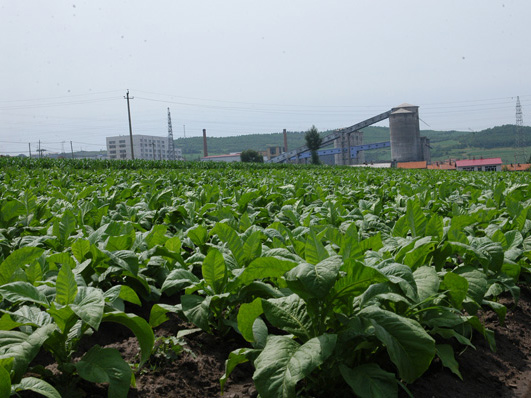  p>双庙街乡,隶属于河南省驻马店市泌阳县,地处 a target="_blank"