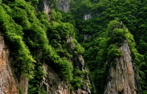 白石崖风景区位于洛阳市 a target="_blank" href="/item/栾川县">