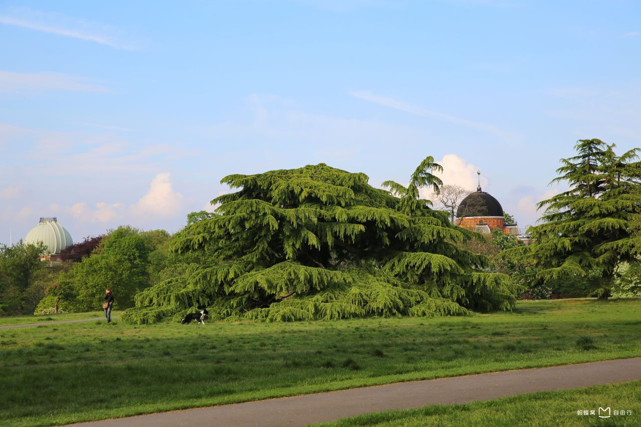 greenwich park