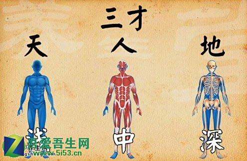 三才 姓名学术语 百度百科