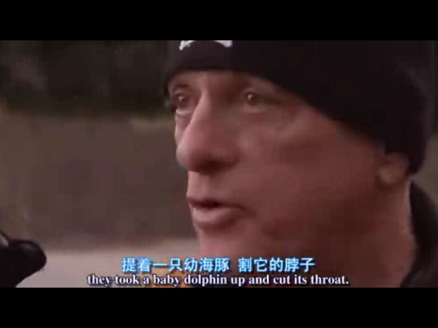 海豚湾