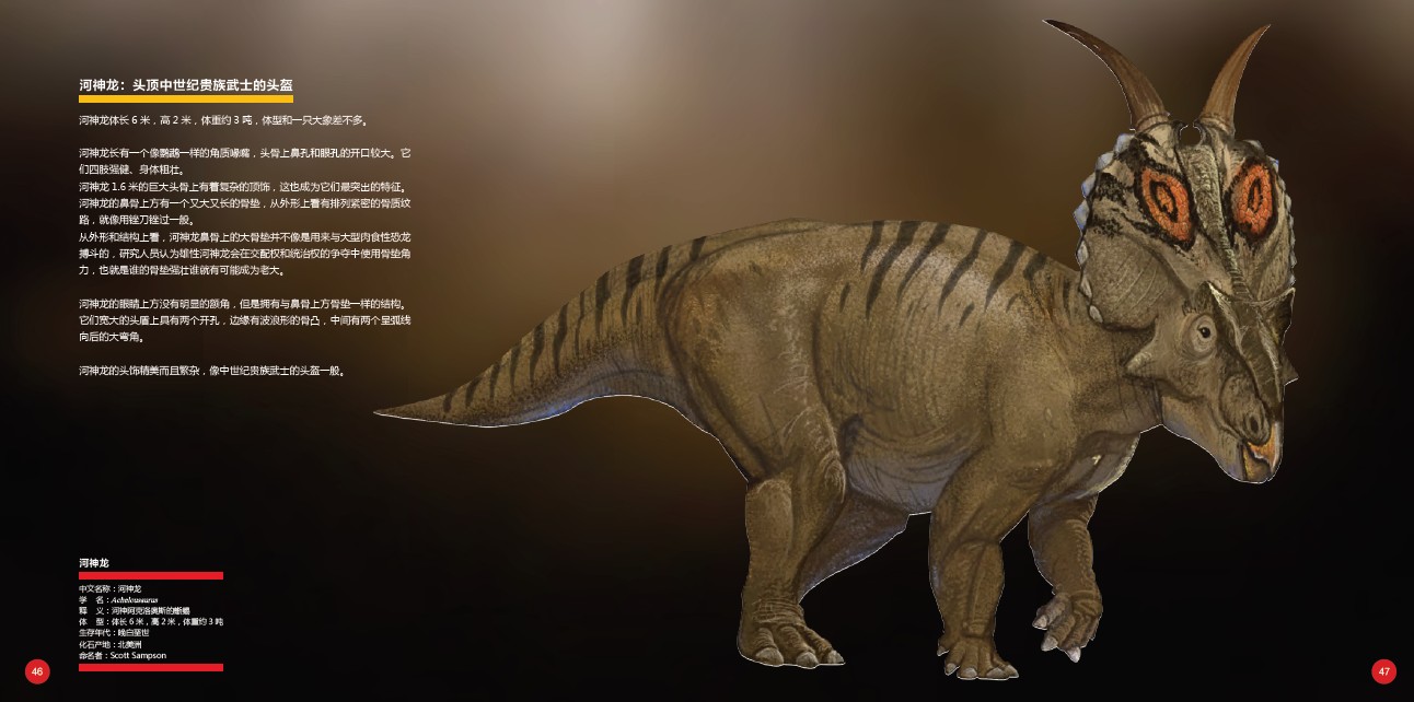  p>河神龙(学名achelousaurus),又名阿奇洛龙,是尖角龙亚科下的一个属