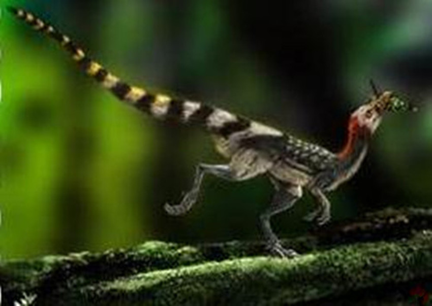  p>美颌龙(学名:compsognathus)又称细颚龙,细颈龙,新颚龙,秀颚龙,是
