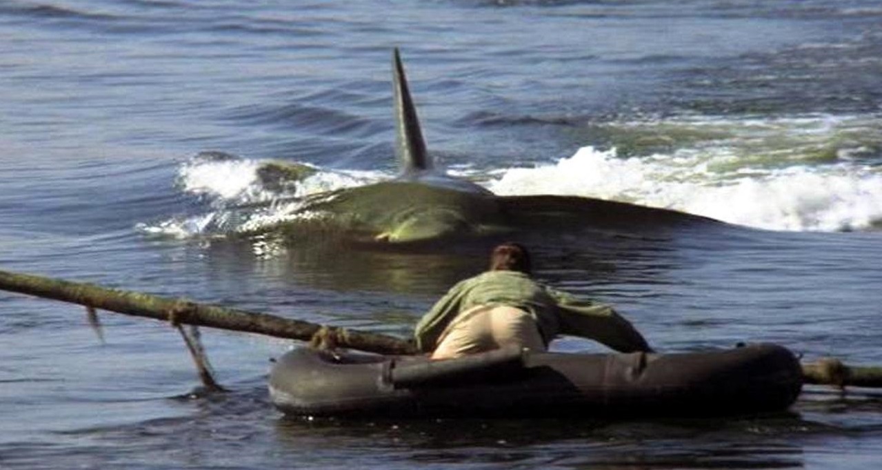 jaws 2