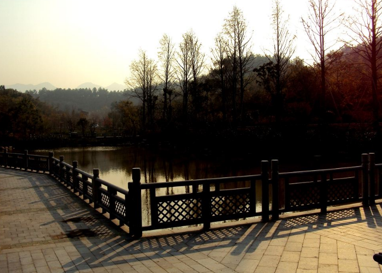 临清龙山森林公园