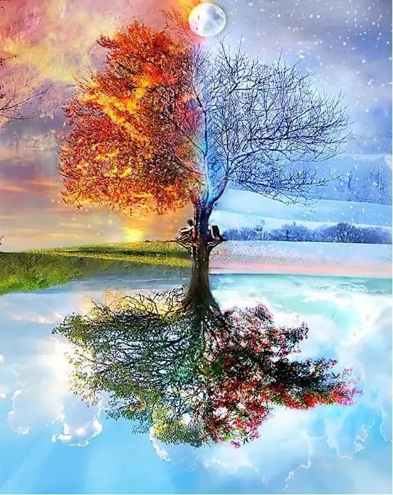 若使你我,春夏秋冬,共同度过