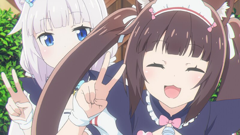 猫娘乐园