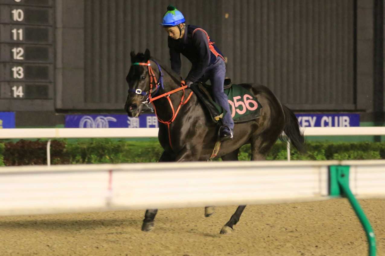  p>澳门赛马会,位于 a target="_blank" href="/item/中国澳门特别