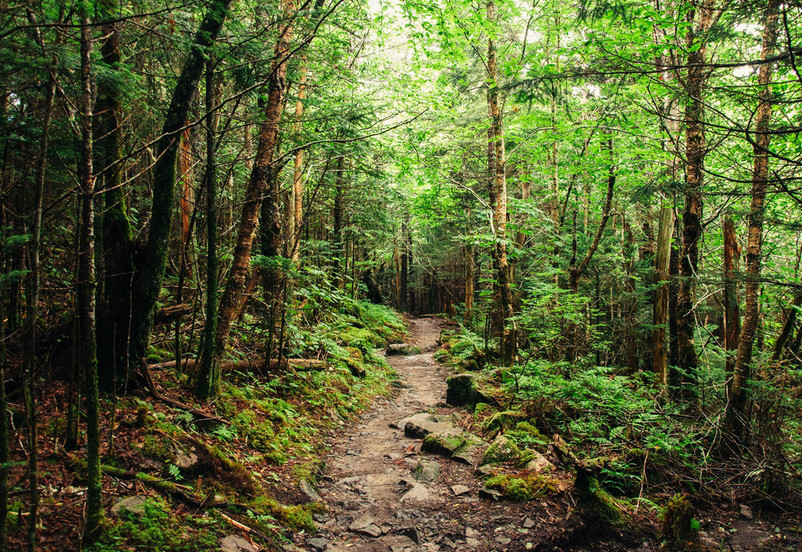 appalachian national scenic trail
