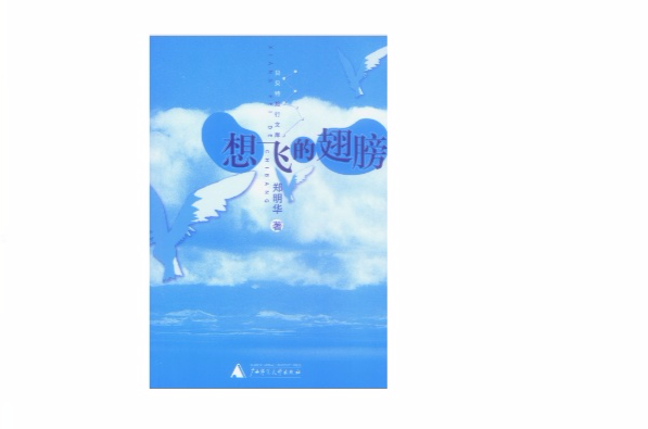 想飞的翅膀