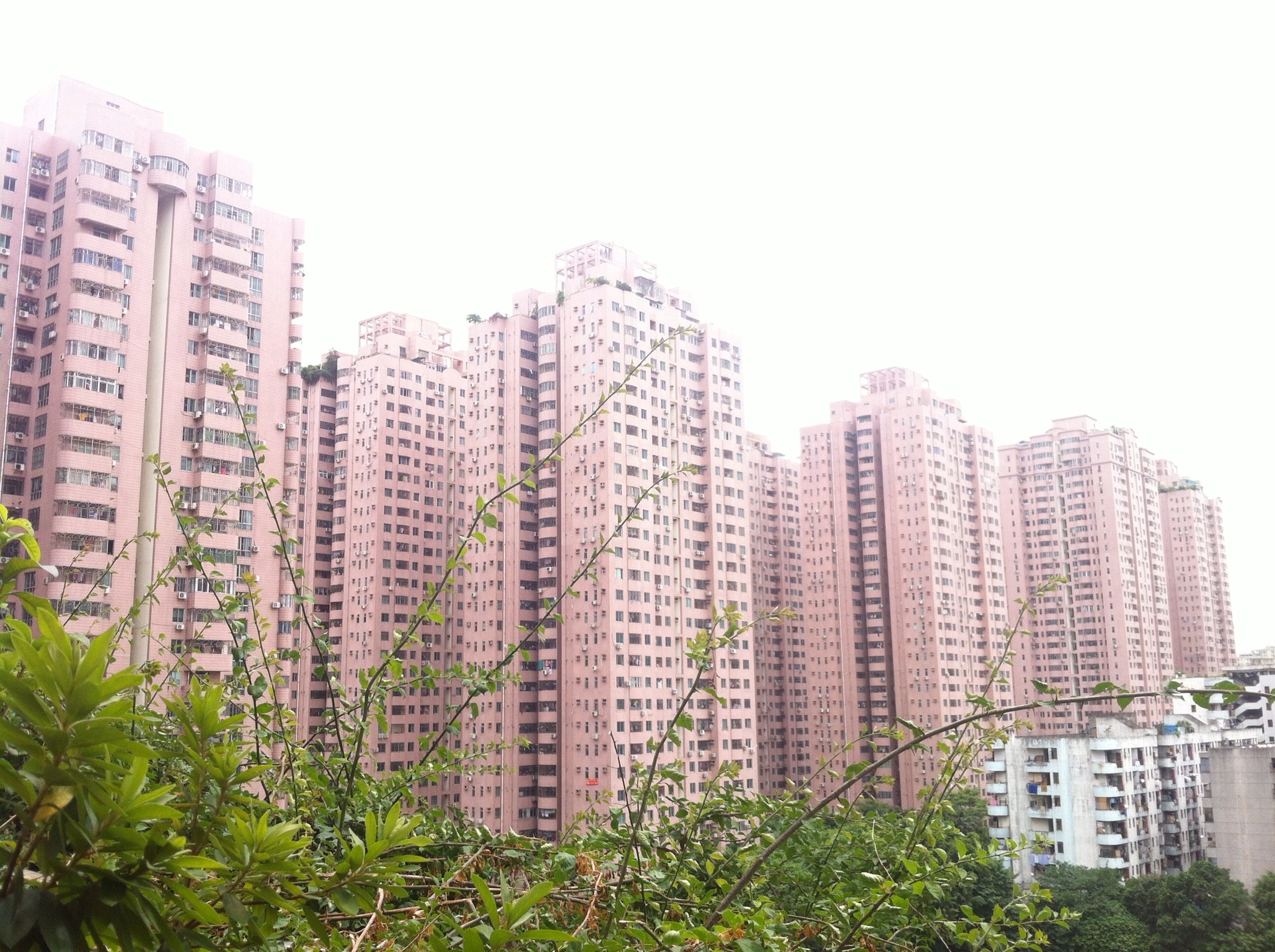  p data-id="gnzrclm0mv">龙珠花园位于深圳市龙岗区布吉街道 a