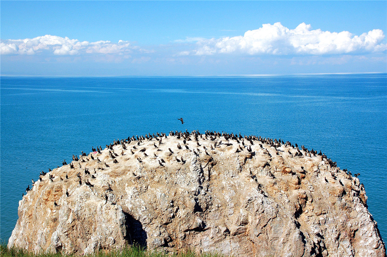 青岛湖鸟岛