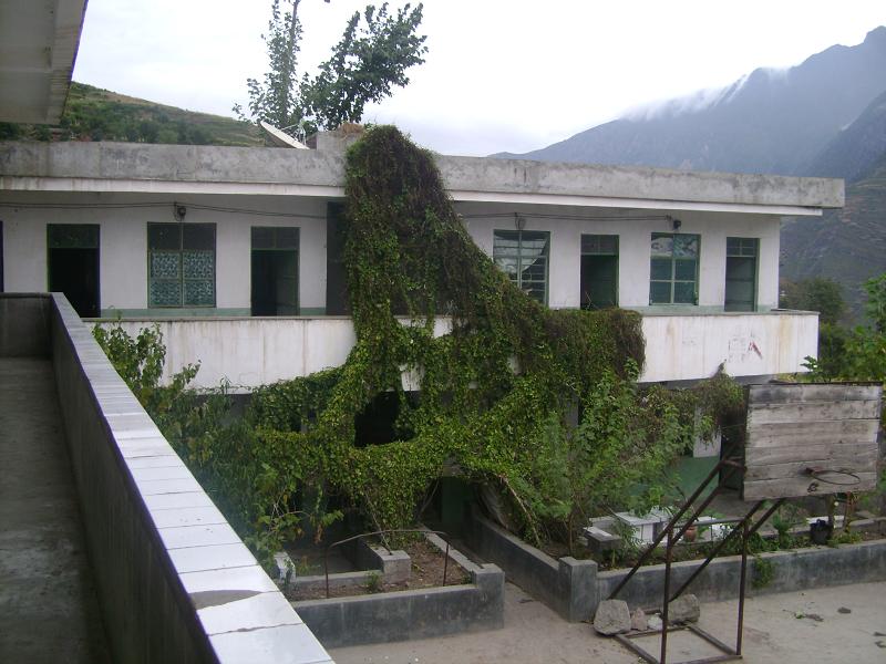 冯湾村