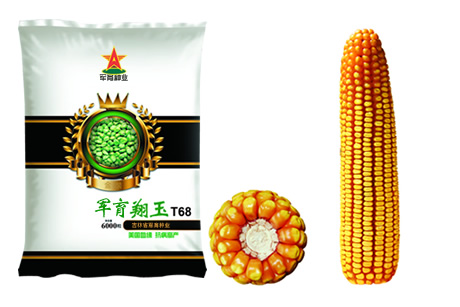  p data-id="gnau7bb4cm">翔玉t68是吉林省2011年审定的普通玉米品种