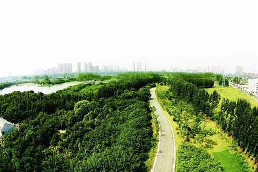 张公堤城市森林公园