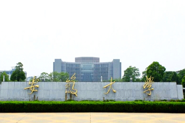安徽大学纽约石溪学院