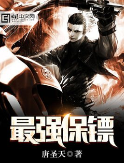 保镖小说 全网资源