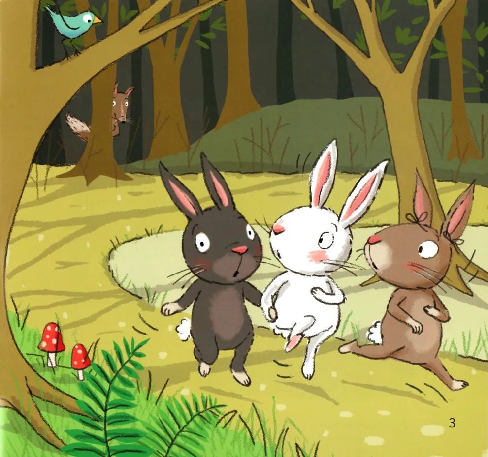 三只兔子