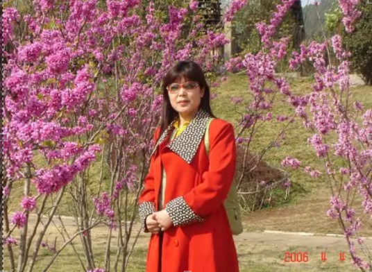 刘慧娟（中国内地作家）_百度百科