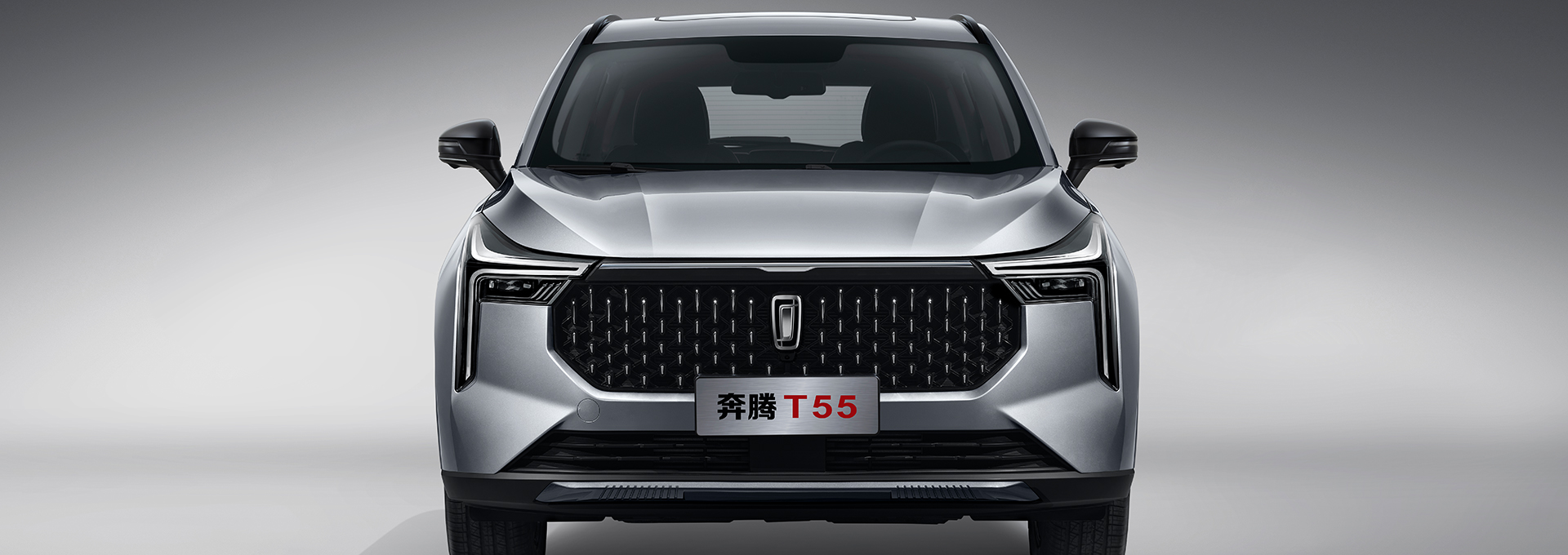  p>奔腾品牌创立于2006年5月18日.