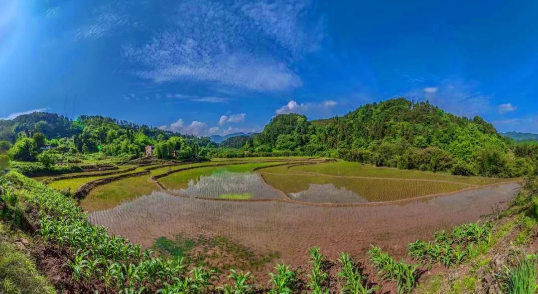  p>李市镇,隶属于重庆市江津区,地处 a target="_blank" href="/item