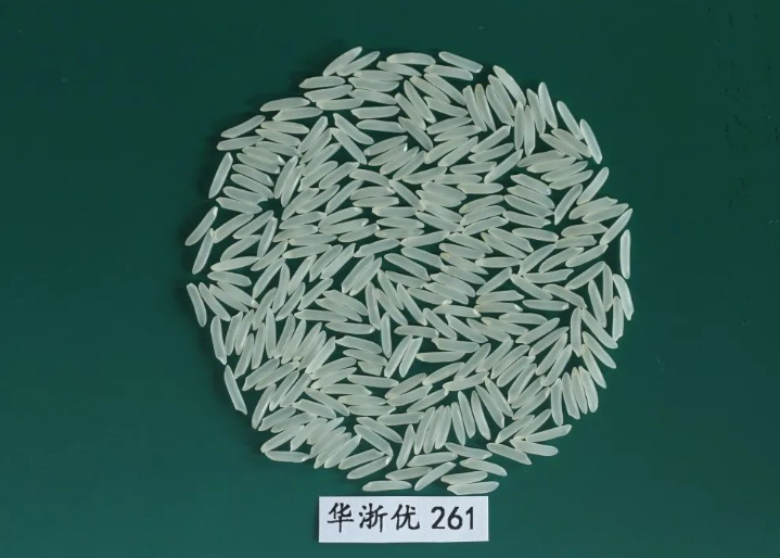  p>华浙优261是中国水稻研究所,浙江勿忘农种业股份有限公司利用 a