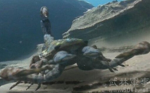  p>布龙度蝎子(学名brontoscorpio anglicus),又名 a target="_blank"