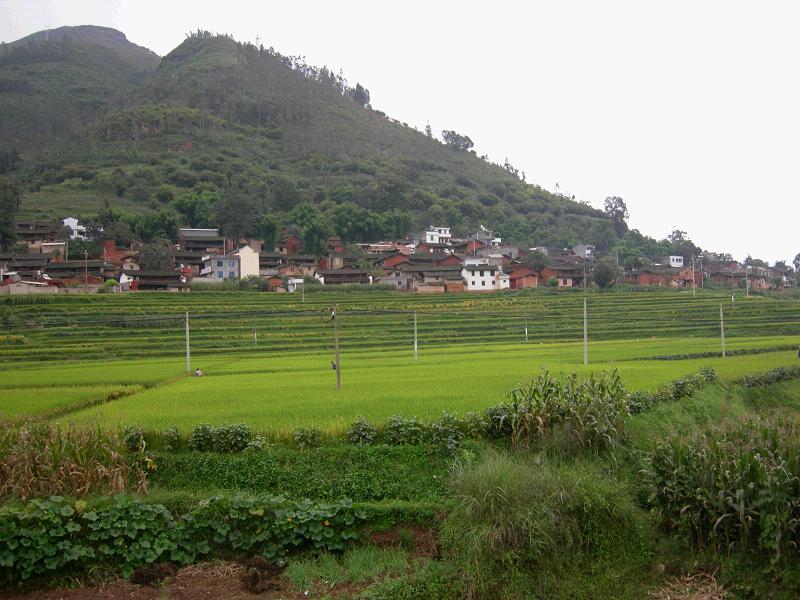 p>乌龙洞村隶属于云南省武定县狮山镇乌龙行政村,属于山区. /p>
