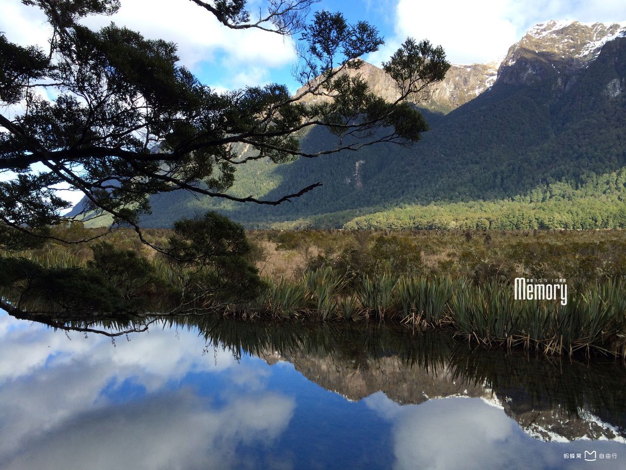 毛利语:piopiotahi),在毛利语的意思为"第一只野生画眉"(first native