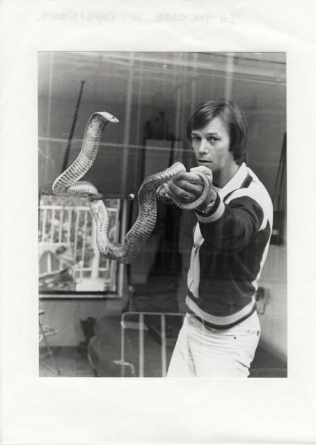 奥斯汀·史蒂文斯