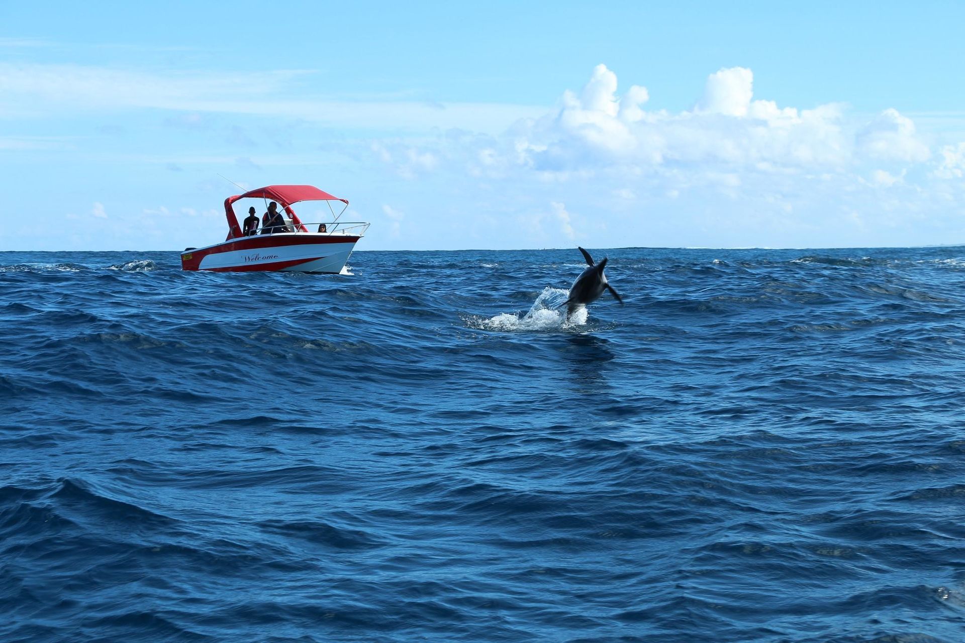 p>海豚湾puerto galera位于菲律宾南方第一大岛 a target="_blank"