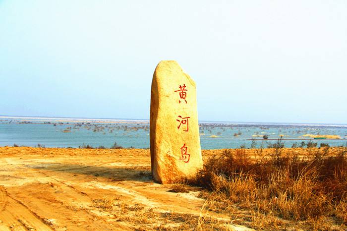 无棣县