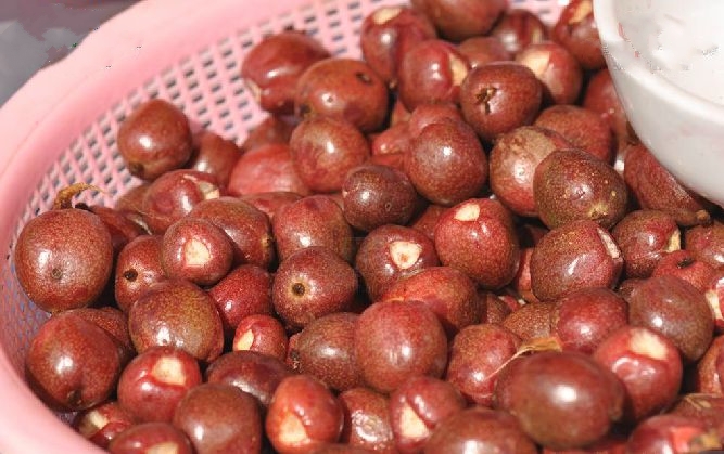  p>野草果(学名 i>: /i> i>amomum koenigii  /i>j. f.