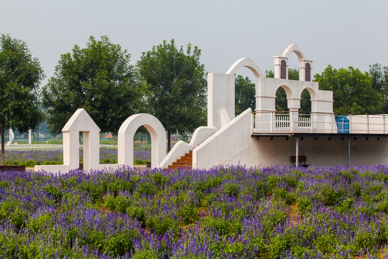 薰衣草蓝调庄园