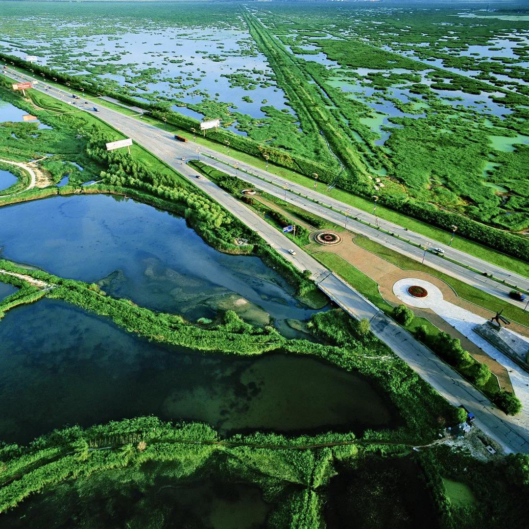 黑龙江龙凤湿地省级自然保护区