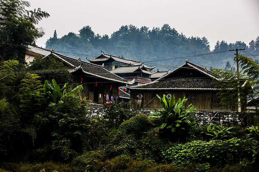 target="_blank" href="/item/来凤县/4726869" data