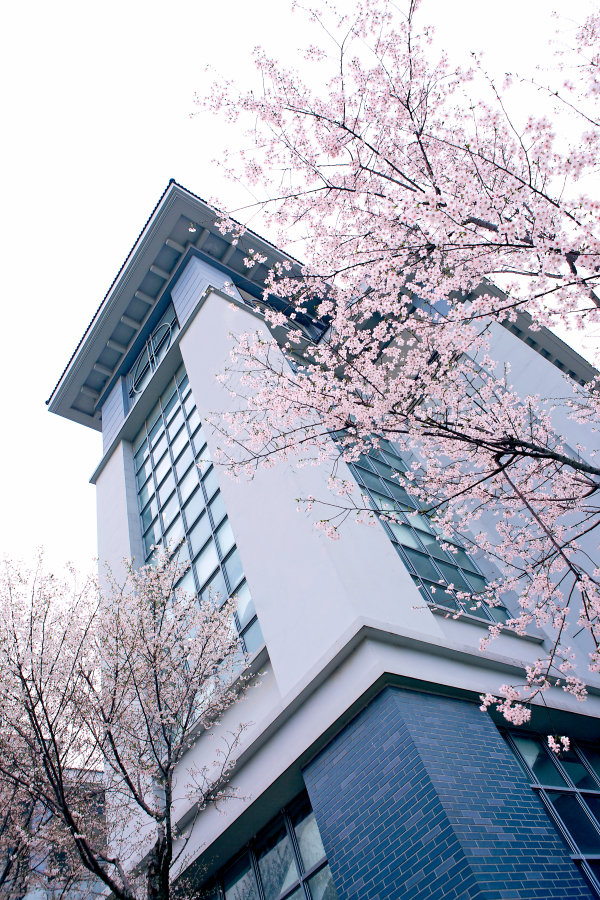 南京晓庄学院