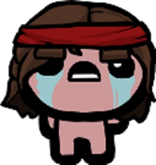 以撒的结合:羔羊的愤怒