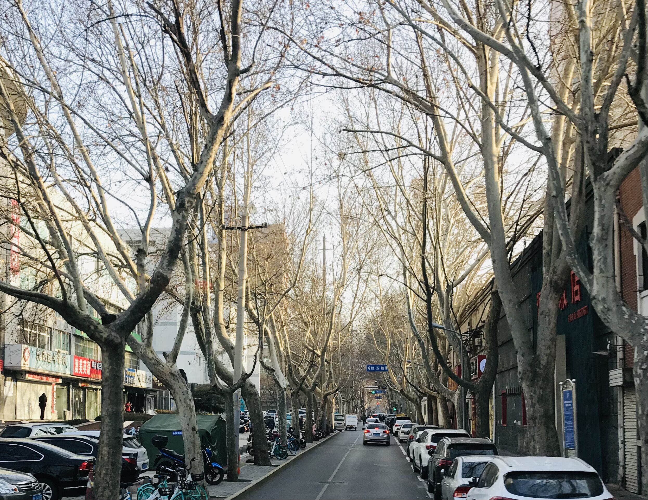 194602">济南市<a target="