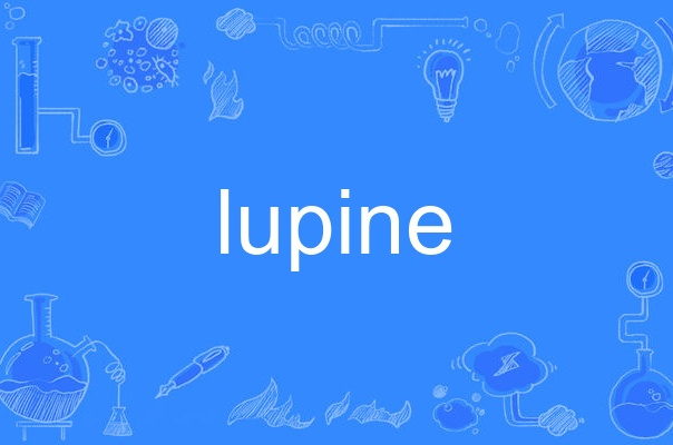  p>lupine,英语单词,主要用作名词,形容词,作名词时译为"羽扇豆",作