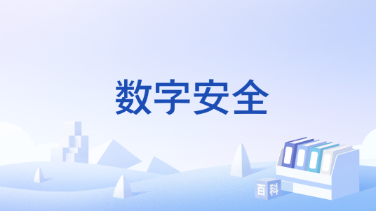 数字安全_百度百科