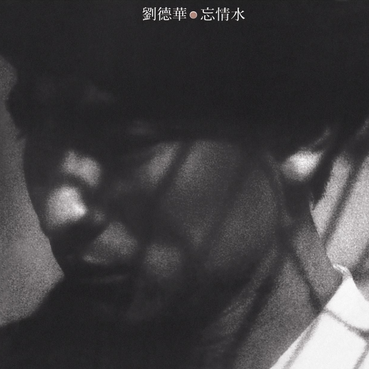 忘情水